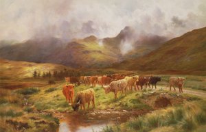 Et højland kørte i Strathfillan, Perthshire