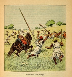 The War in Madagascar-Anecdotal History of the French Expeditions of 1885-1895 af Henri Galli dit Galllichet (1854-1922), illustreret af Louis Bombled (1862-1927): Jagten på vilde okser i Madagaskar i 1895, privat samling af Louis Charles Bombled
