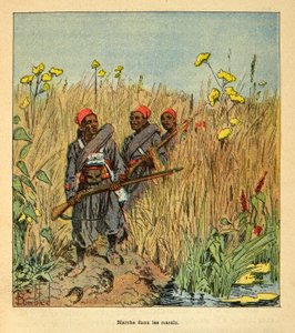 Krigen i Madagaskar-Anekdotisk historie om de franske ekspeditioner 1885-1895 af Henri Galli dit Galllichet (1854-1922), illustreret af Louis Bombled (1862-1927): Franske tropper på ekspedition i marsken i Madagaskar i 1895, Privat samling af Louis Charles Bombled