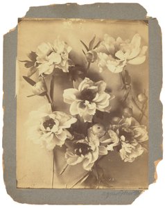 Tiffany Studios, ca. 1898-1920 (fotografi s/h) af Louis Comfort Tiffany