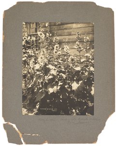 Tiffany Studios, ca. 1898-1920 (fotografi s/h) af Louis Comfort Tiffany
