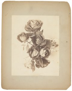 Tiffany Studios, ca. 1898-1920 (fotografi s/h) af Louis Comfort Tiffany