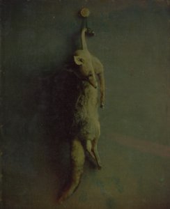 Ræv, ca. 1870. af Louis Ducos du Hauron