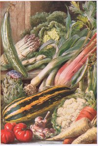 Havegrøntsager, illustration fra 