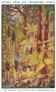 Den gigantiske vegetation i kultiden (farvelitografi)