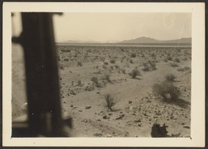 [Amargosa-ørkenens planter] af Louis Fleckenstein