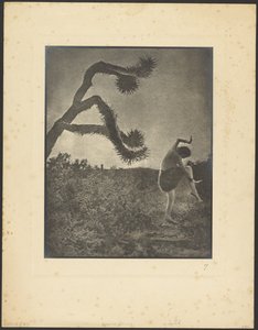 Apache-dans af Louis Fleckenstein