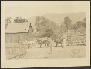 [Barnyard Scene] af Louis Fleckenstein