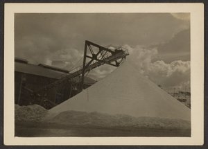[Borax Mill, Trova, CA] af Louis Fleckenstein