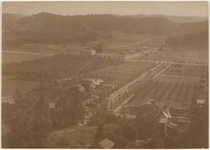  af Louis Fleckenstein