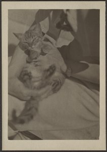 [Kat] af Louis Fleckenstein