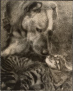 [Kat og hund] af Louis Fleckenstein