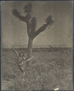 [Danser ved Joshua Tree] af Louis Fleckenstein