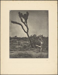 [Danser ved Joshua Tree] af Louis Fleckenstein