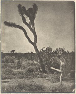 [Danser ved Joshua Tree] af Louis Fleckenstein