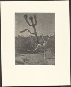 Dansende mester