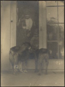 [Hunde ved døren] af Louis Fleckenstein