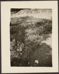 [And i landskab] af Louis Fleckenstein
