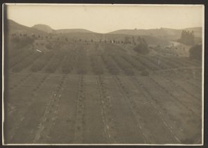 [Farm Landscape] af Louis Fleckenstein