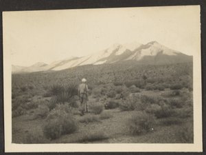 [Figur i landskab]. af Louis Fleckenstein