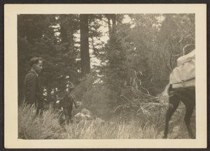 [Figurer i et træbevokset landskab]. af Louis Fleckenstein