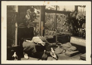 [Firenze med duer] af Louis Fleckenstein