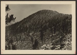 [Jean Peak fra Trail] af Louis Fleckenstein