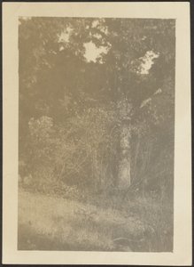 [Landskab] af Louis Fleckenstein