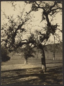[Landskab] af Louis Fleckenstein
