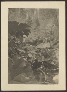[Landskab] af Louis Fleckenstein