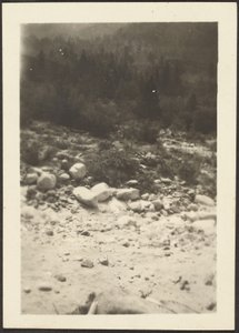 [Landskab] af Louis Fleckenstein