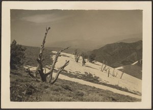 [Landskab] af Louis Fleckenstein