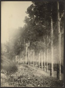  af Louis Fleckenstein