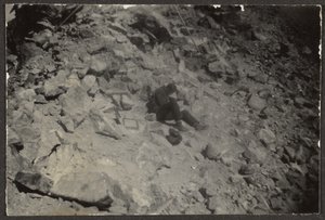 [Mand blandt klipper] af Louis Fleckenstein