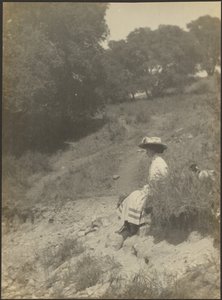 Frøken Mullin af Louis Fleckenstein