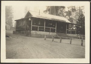 [Pine Knot Store] af Louis Fleckenstein