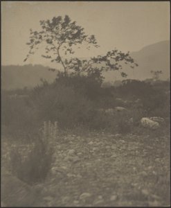 [Rocky Landscape] af Louis Fleckenstein