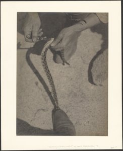  af Louis Fleckenstein