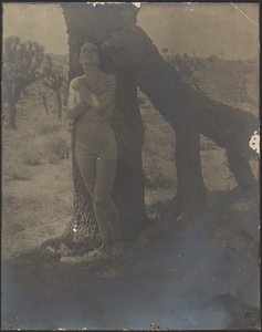 Joshua
