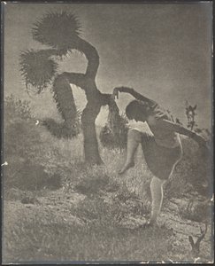  af Louis Fleckenstein