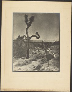  af Louis Fleckenstein