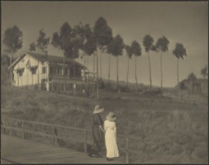 Den hvide hytte af Louis Fleckenstein