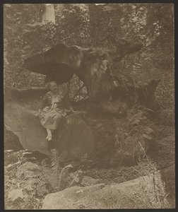  af Louis Fleckenstein