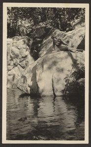 [Kvinde ved Lakeside] af Louis Fleckenstein