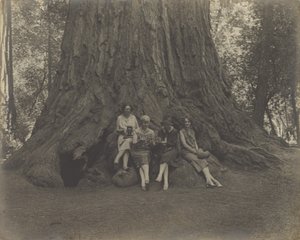 [Kvinder med kameraer ved foden af et træ]. af Louis Fleckenstein