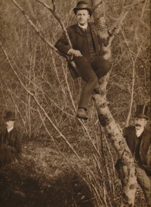 Mand sad i et træ, 1937