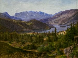 Udsigt over Slidre Fjord