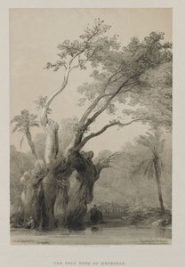 Egypten og Nubien, bind III: Metereahs hellige træ, 1849. af Louis Haghe