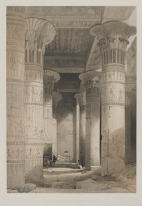 Egypten og Nubien, bind I: Udsigt under templets store portik, Philae af Louis Haghe