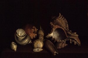 Still Life of Shells on a Ledge, 1600-tallet af Louis Hubner